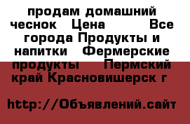 продам домашний чеснок › Цена ­ 100 - Все города Продукты и напитки » Фермерские продукты   . Пермский край,Красновишерск г.